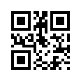 Phone QR Code Example