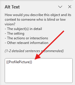 Alt Text Panel